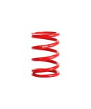 Remus 2021+ Husqvarna 125 Svartpilen (Euro 5) Mesh Connection Tube